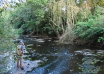 Urugua-í Provincial Park Birding Tour