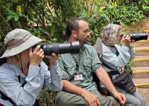 Iguazú Hummingbird Garden Birding Visit