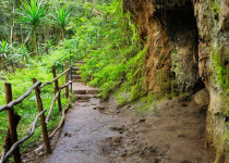 6-Day Birding Trip in Kenya with Peter Wairasho