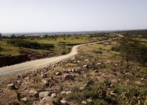 8-Day Birds And Beasts Tour in Rwanda with Peter Wairasho