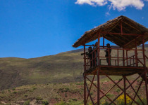 Huacarpay Wetlands Birdwatching - Half Day with Machu Picchu Cusco Birding