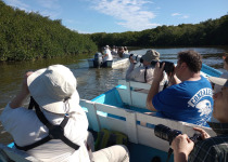 Boat birding in western Mexico.