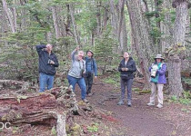 Tierra del Fuego National Park Birding Tour