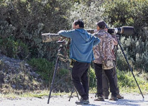 Birding Around Ushuaia