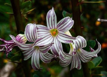 Tierra del Fuego National Park Photography Tour