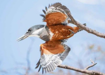 Tierra del Fuego National Park Photography Tour