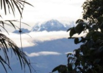Bolivia Custom Birding Expedition with Guy Cox