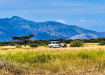 16-Day Highlights of Ethiopia Birdwatching Expedition with Awel Sultan