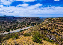 16-Day Highlights of Ethiopia Birdwatching Expedition with Awel Sultan