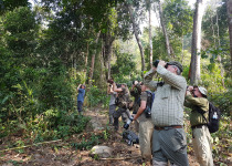 Aural Mountains Cambodian Laughingthrush Tour