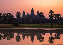 Half Day Birding in Angkor Wat