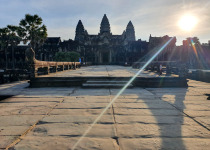 Half Day Birding in Angkor Wat