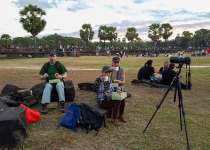 Half Day Birding in Angkor Wat