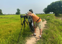 Half Day Birding in Siem Reap