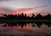 Temples and Birds