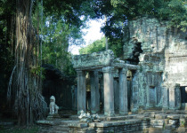 Temples and Birds