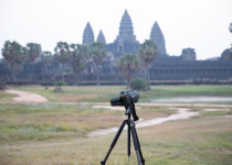 Temples and Birds