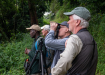 Custom Uganda Birding and Nature Trip with Gordon Tukwasibwe