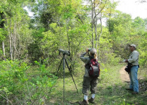Private Pantanal and Chapada dos Guimaraes Birdwatching Tour