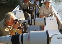 Private Pantanal and Chapada dos Guimaraes Birdwatching Tour