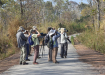 Yok Don National Park Birdwatching Tour