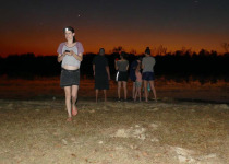 Dinner with the Crocs, Breakfast with the Gouldians