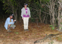 Dinner with the Crocs, Breakfast with the Gouldians