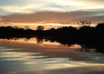7-Day Pantanal Jaguar and Birds Tour with Boute Expeditions