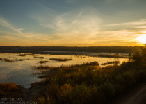 Magic of Migration Lithuania Birding Tour