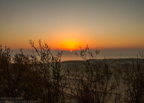 Magic of Migration Lithuania Birding Tour