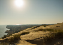 Magic of Migration Lithuania Birding Tour