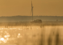 Custom Birdwatching Tours in Lithuania and Bulgaria