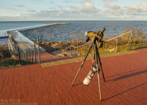 Custom Birdwatching Tours in Lithuania and Bulgaria