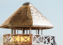 Custom Birdwatching Tours in Lithuania and Bulgaria