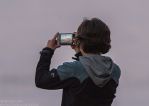 Custom Birdwatching Tours in Lithuania and Bulgaria