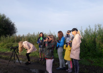 Custom Birdwatching Tours in Lithuania and Bulgaria