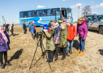 Custom Birdwatching Tours in Lithuania and Bulgaria