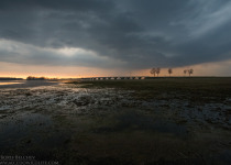 7-Day Nemunas Delta Bird Observation Tour