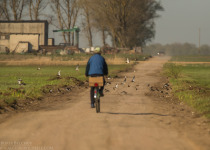 7-Day Nemunas Delta Bird Observation Tour