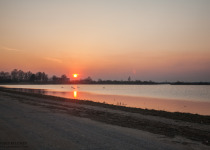 7-Day Nemunas Delta Bird Observation Tour