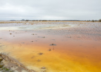 7-Day Nemunas Delta Bird Observation Tour