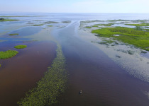 Nemunas Delta Canoe Birdwatching Day Tour