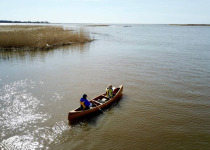 Nemunas Delta Canoe Birdwatching Day Tour
