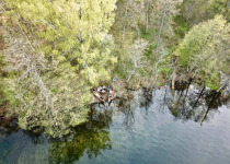 Nemunas Delta Canoe Birdwatching Day Tour