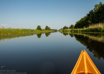 Nemunas Delta Canoe Birdwatching Day Tour
