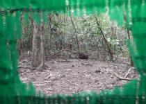 Changkran Roy Birding Tour: 2 days, 1 night