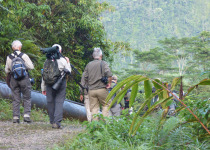 8-Day Kiunga and Tabubil Birds of Paradise Birding & Photography Tour