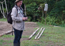 8-Day Kiunga and Tabubil Birds of Paradise Birding & Photography Tour