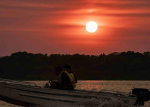 Paraguay River Birding Boat Tour with Wildlife Paraguay