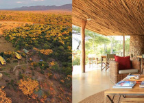6-Night African Pitta Bird Safari in Mana Pools